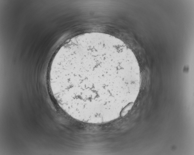 X0000116330195201001131031