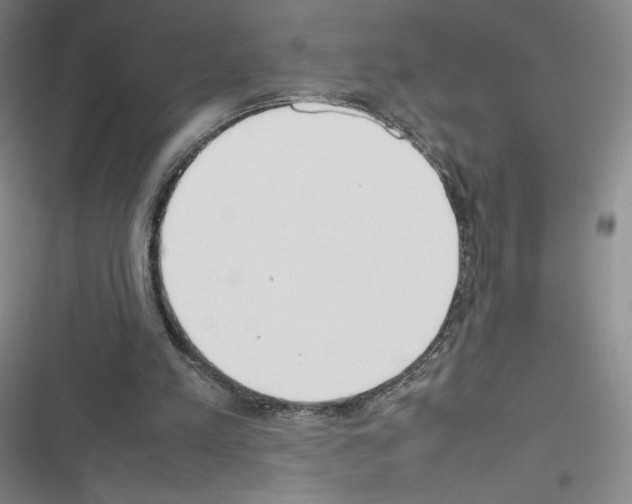 X0000116330197201001131031