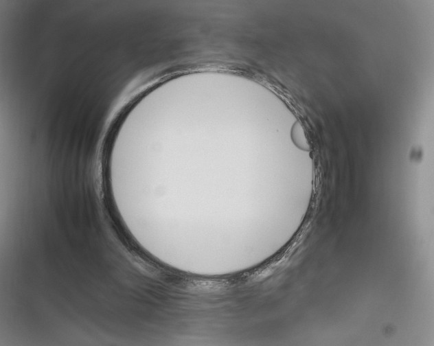 X0000116330198201001131031