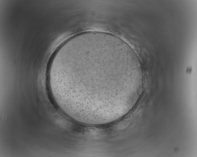 X0000116330199201001131031