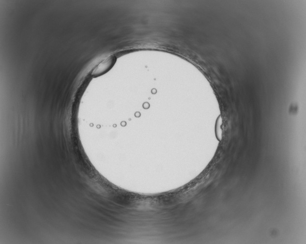 X0000116330200201001131031