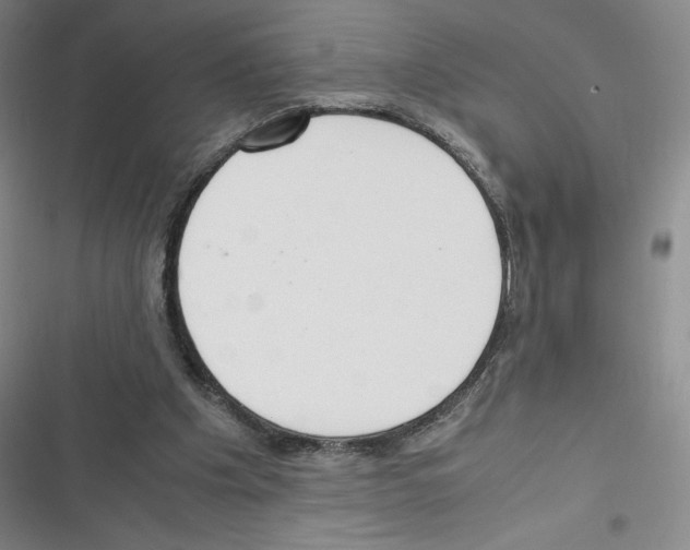 X0000116330201201001131031