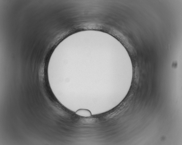 X0000116330202201001131031