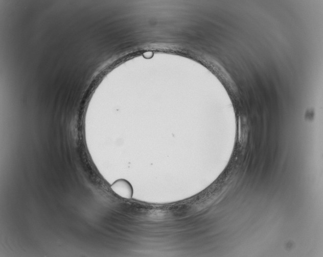 X0000116330204201001131031