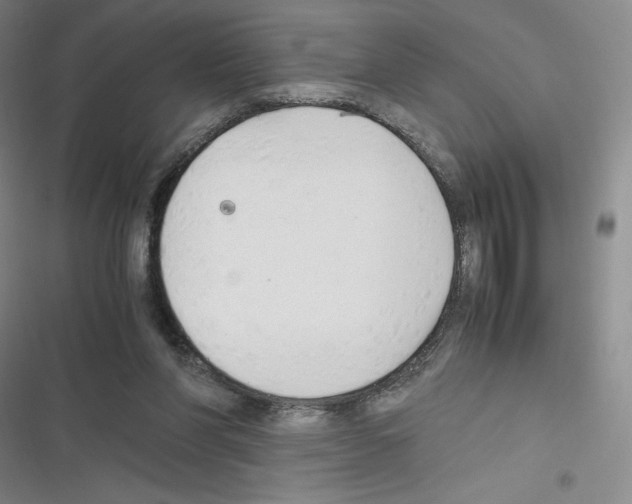 X0000116330206201001131031