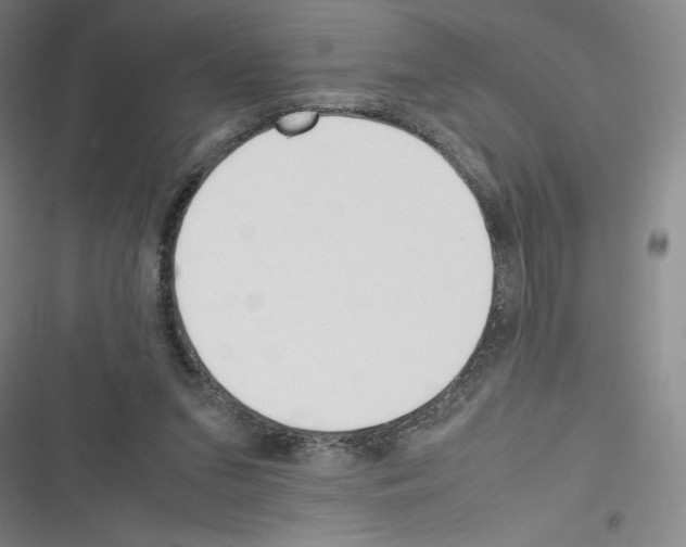 X0000116330207201001131031