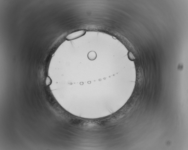 X0000116330208201001131031