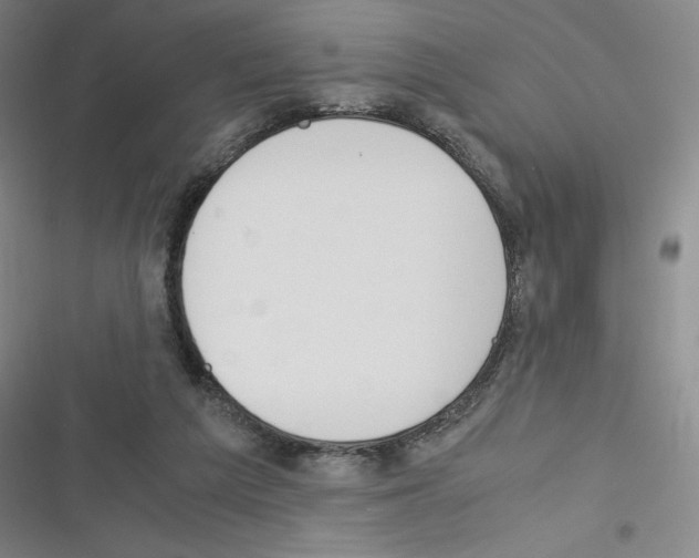 X0000116330209201001131031