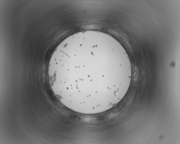 X0000116330210201001131031