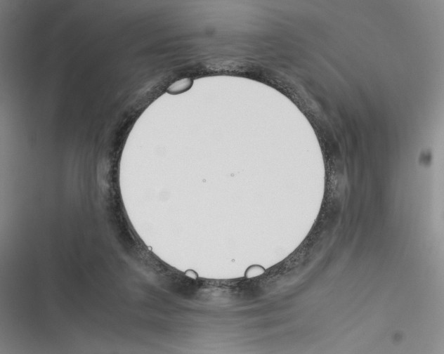X0000116330211201001131031