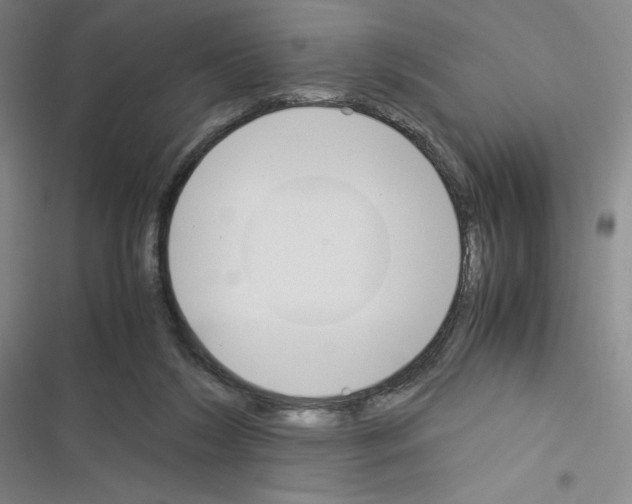 X0000116330212201001131031