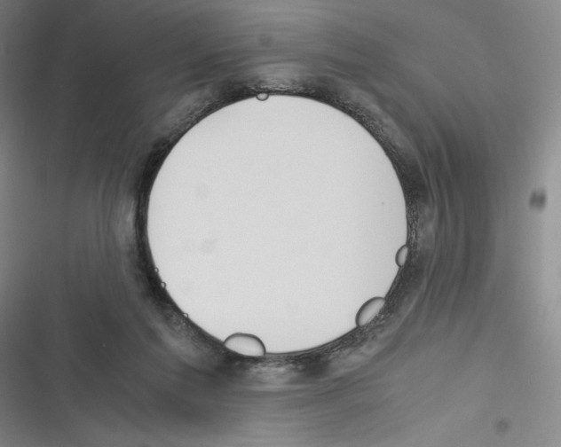 X0000116330213201001131031