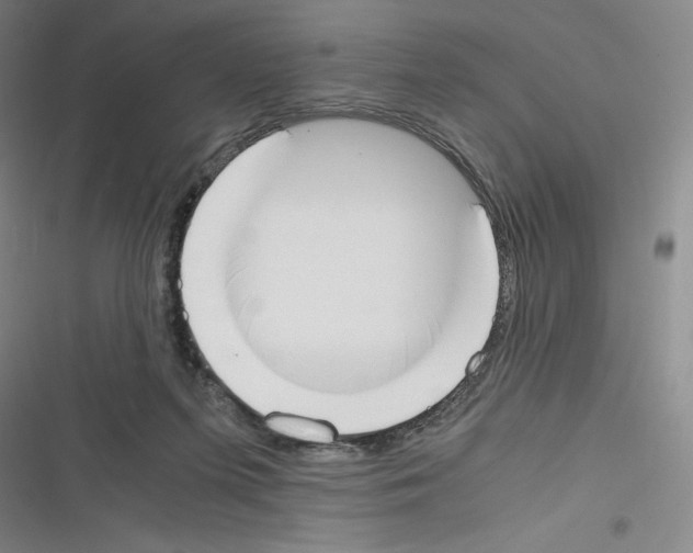 X0000116330215201001131031