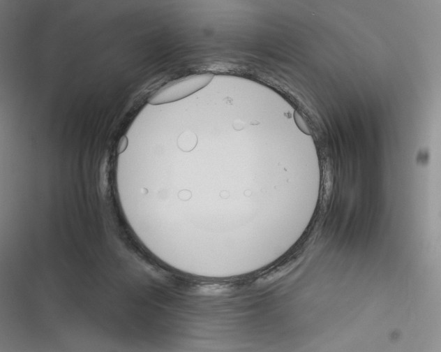 X0000116330216201001131031