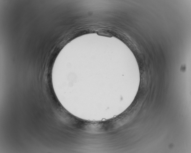 X0000116330217201001131031
