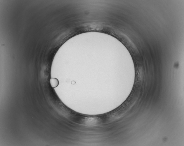 X0000116330218201001131031