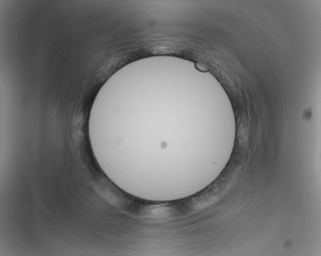 X0000116330219201001131031