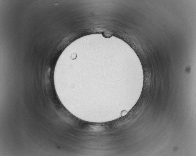 X0000116330220201001131031