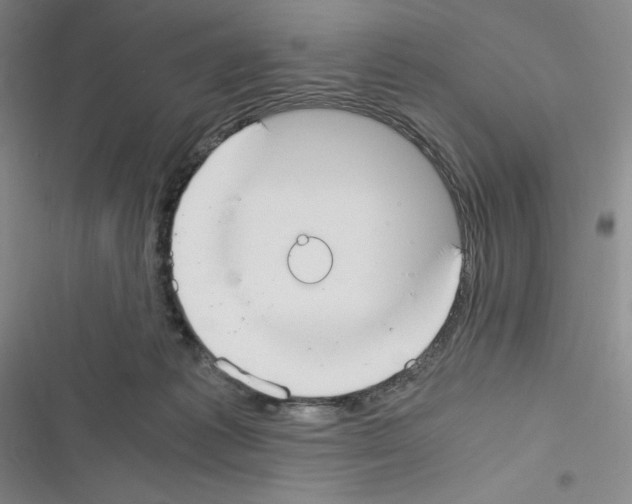 X0000116330221201001131031