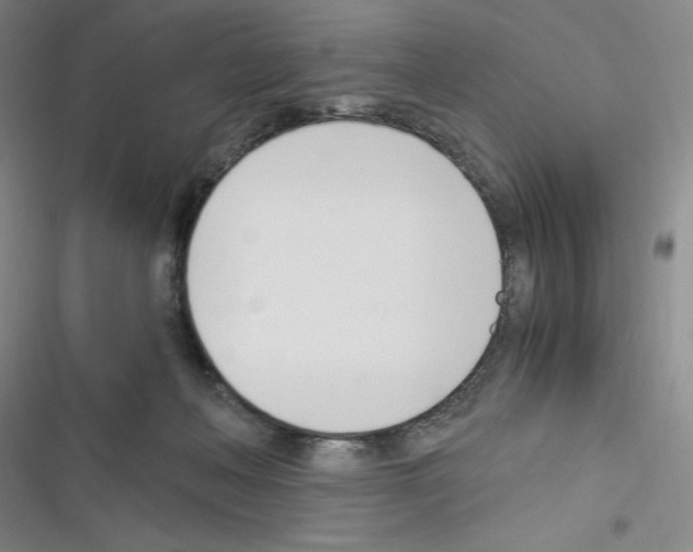 X0000116330222201001131031