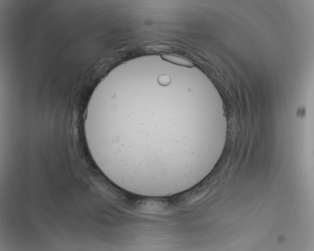 X0000116330223201001131031