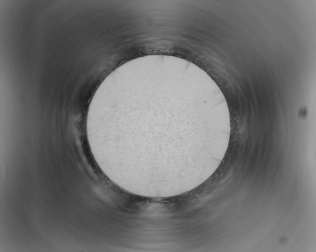 X0000116330224201001131031