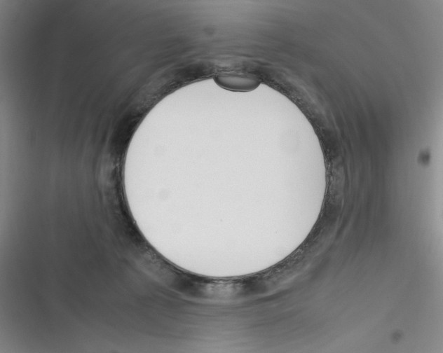 X0000116330225201001131031