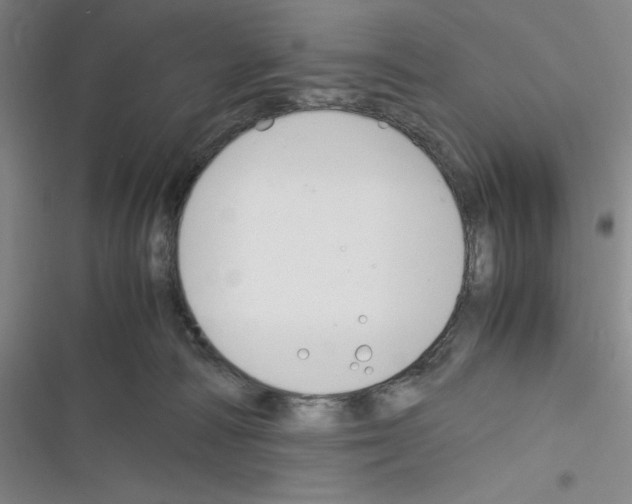 X0000116330226201001131031