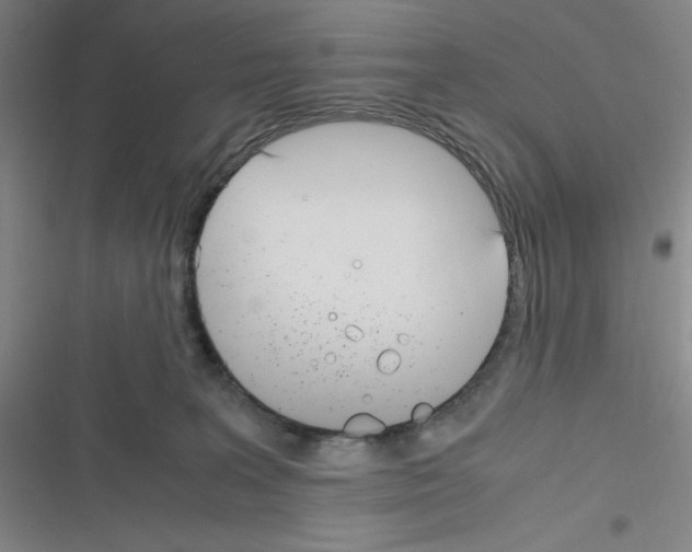 X0000116330227201001131031