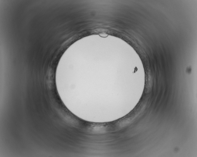 X0000116330228201001131031