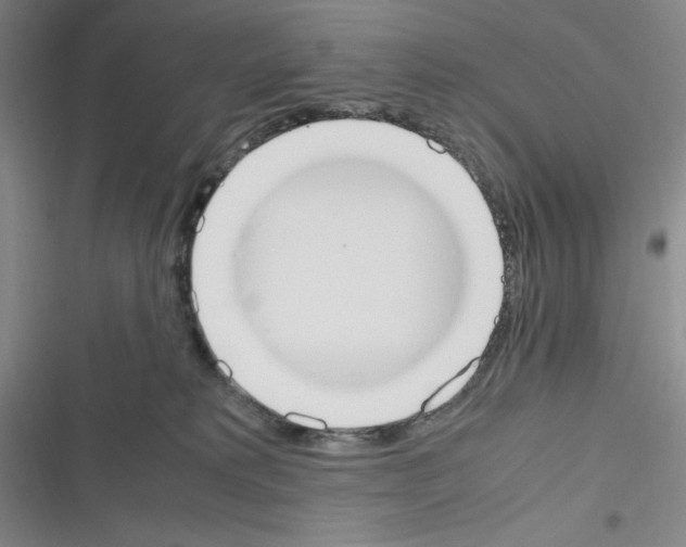 X0000116330229201001131031