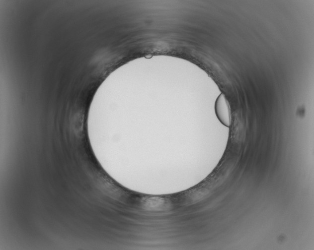X0000116330230201001131031