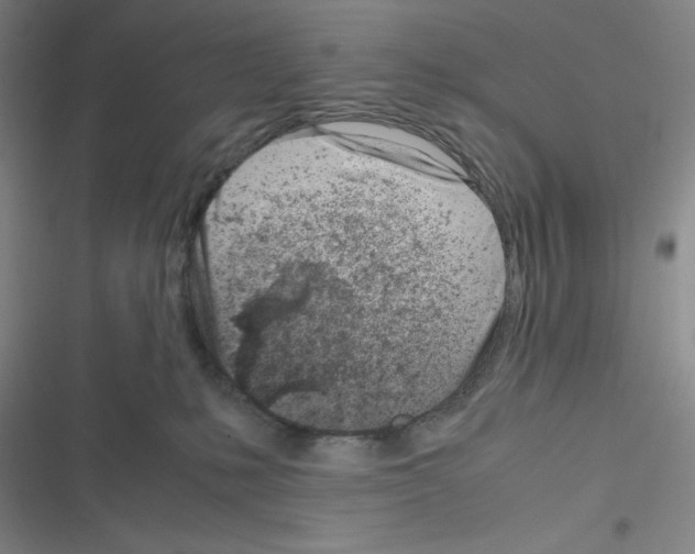 X0000116330231201001131031