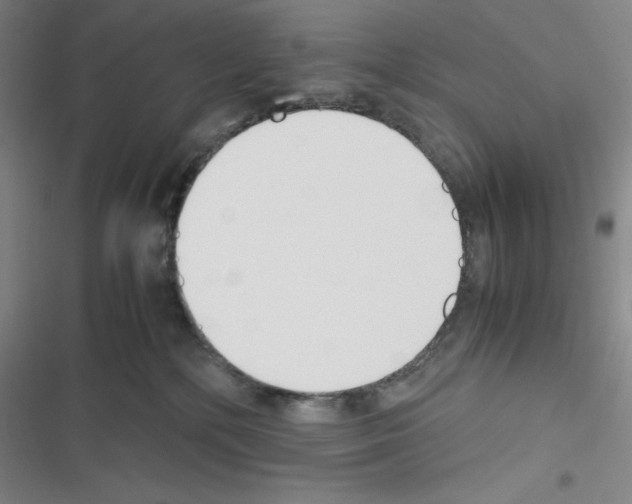 X0000116330232201001131031