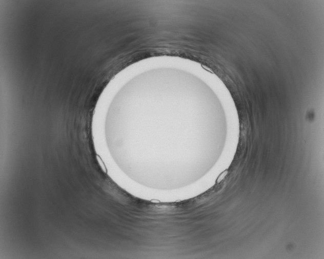X0000116330233201001131031