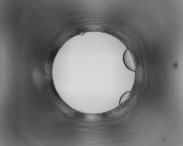 X0000116330234201001131031