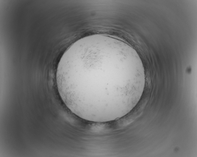 X0000116330235201001131031