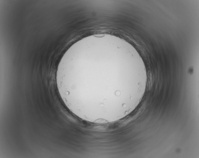 X0000116330236201001131031