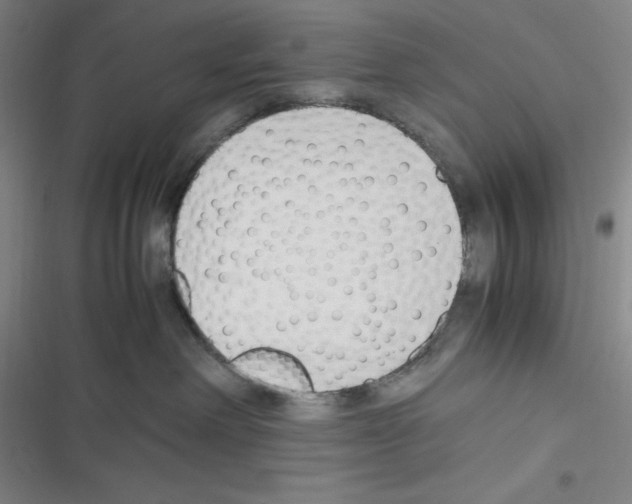 X0000116330238201001131031
