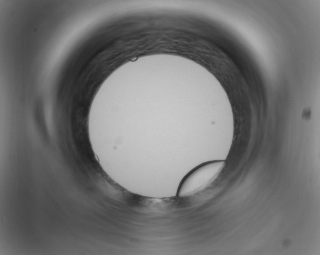 X0000116330239201001131031