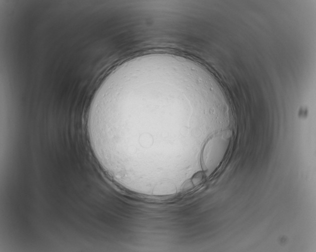 X0000116330240201001131031