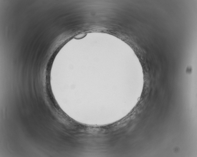 X0000116330242201001131030