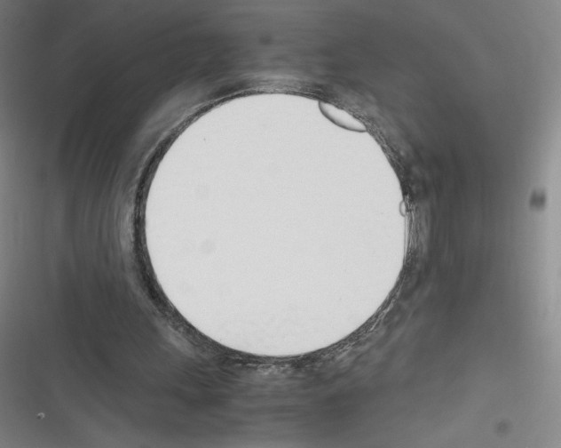 X0000116330243201001131030