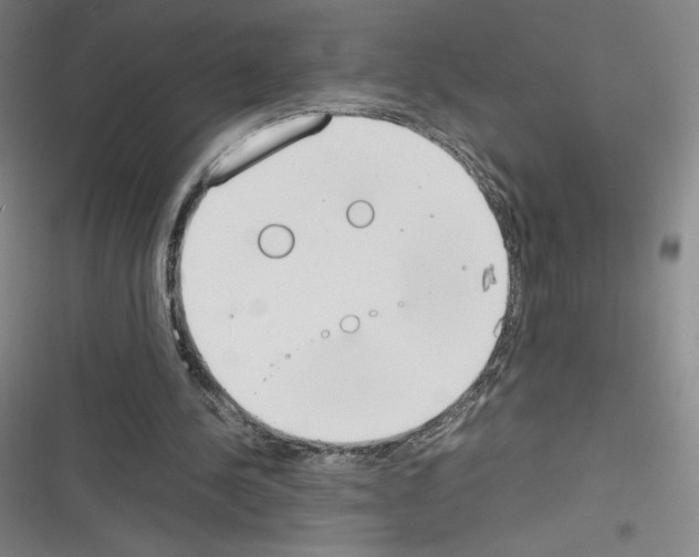 X0000116330244201001131030