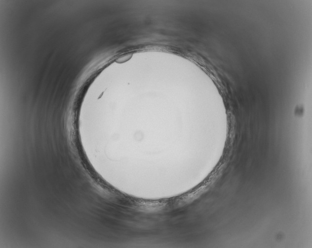 X0000116330245201001131030