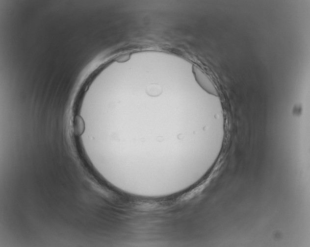X0000116330246201001131030