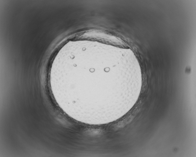 X0000116330247201001131030