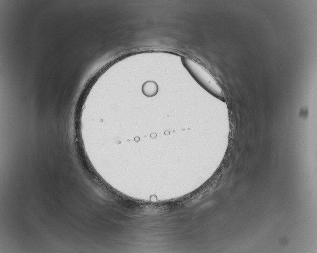 X0000116330248201001131030