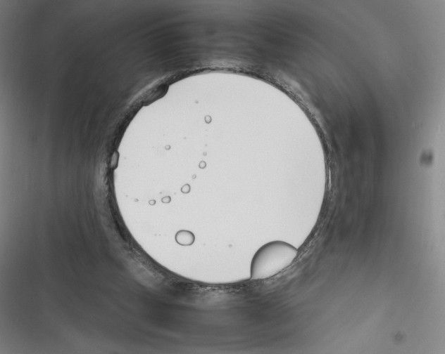 X0000116330249201001131030