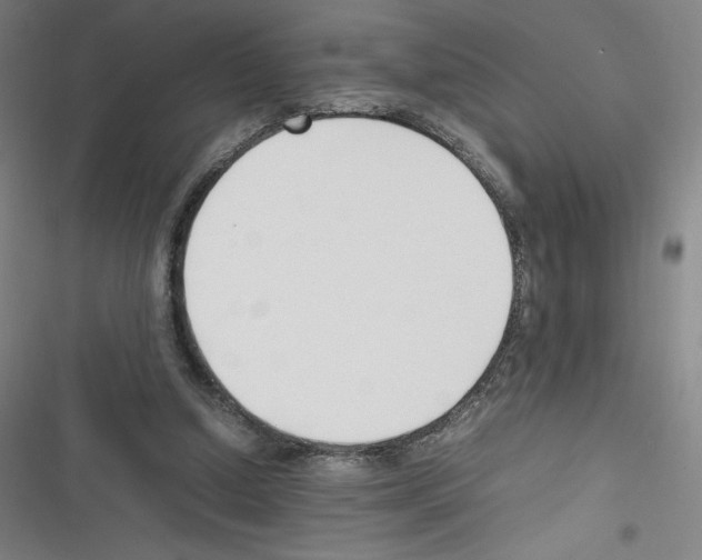 X0000116330250201001131030